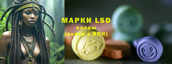 крисы Алзамай
