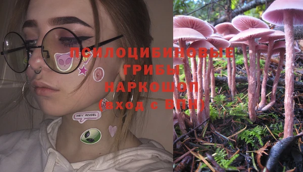 стафф Пролетарск
