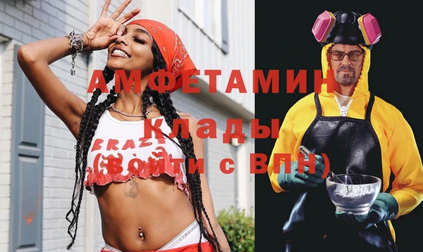 крисы Алзамай