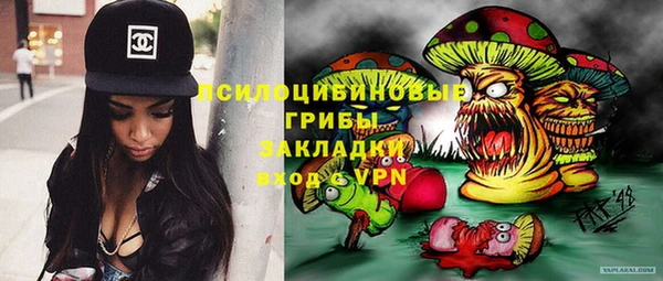 крисы Алзамай