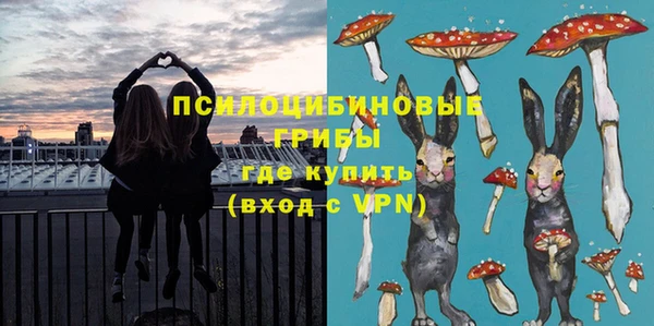 прущие грибы Алексин