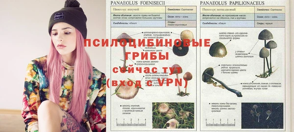 мефедрон Алексеевка
