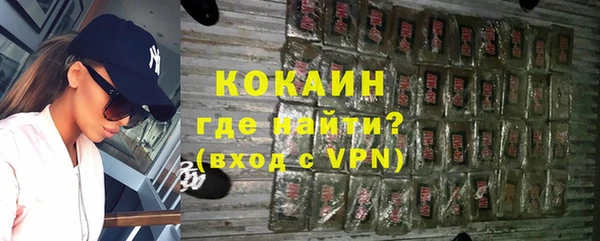 крисы Алзамай