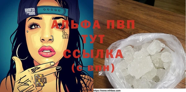 крисы Алзамай