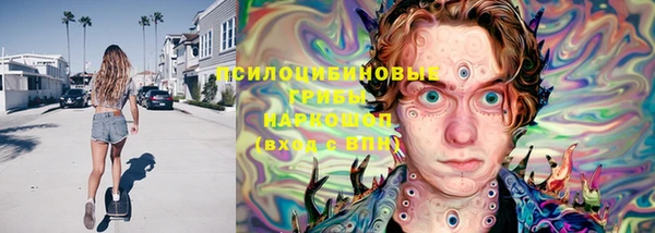 крисы Алзамай