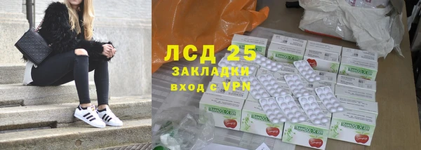 прущие грибы Алексин
