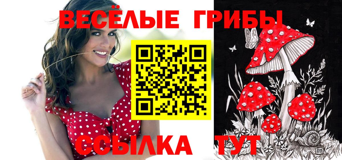 Псилоцибиновые грибы прущие грибы  Вход с VPN  Севастополь 