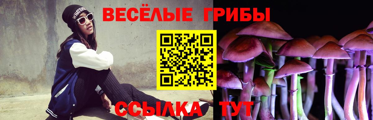 Галлюциногенные грибы GOLDEN TEACHER Севастополь